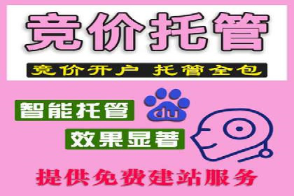 百度SEM竞价推广，案例解析转化率提升秘诀